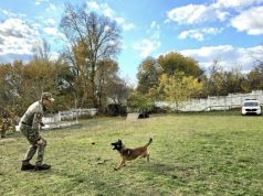 FOTO // Poliția Națională își modernizează serviciul canin cu sprijinul OSCE și al partenerilor francezi