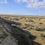 Prejudiciu de peste 19 milioane de lei, după extragerea ilegală de nisip și argilă lângă Vulcănești. Cazul a ajuns la Procuratură