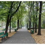 Consilier PAS din CMC reclamă posibile nereguli de la întreținerea spațiilor verzi din Chișinău