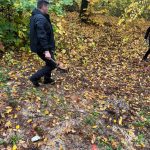 111 arbori, tăiați ilegal într-o grădină publică din Edineț. Prejudiciul se apropie de 2,5 milioane de lei